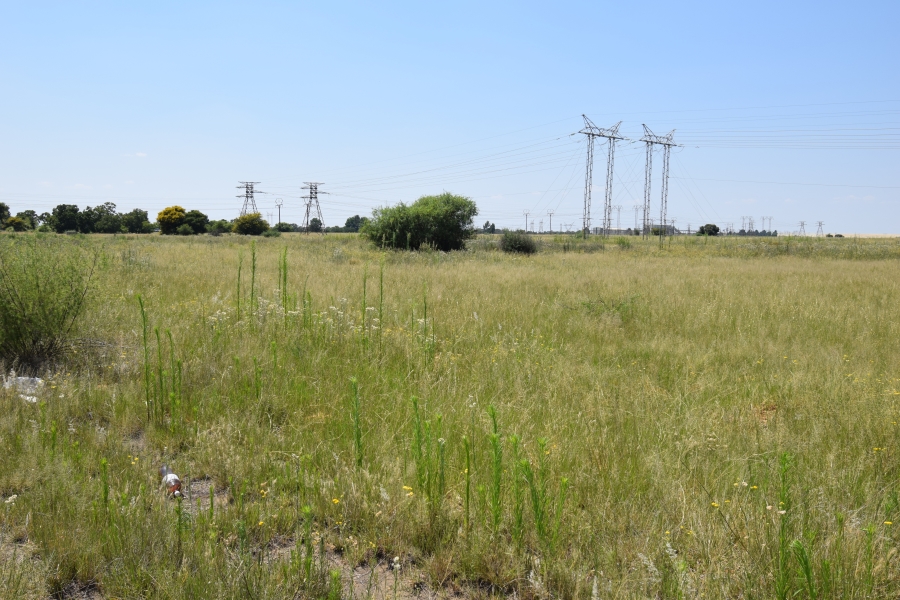 0 Bedroom Property for Sale in Naudeville Free State